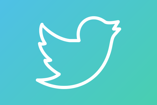 Ultimate Guide to Twitter Viewer: 5 Best Private Twitter Viewer Apps & Tools (2024)
